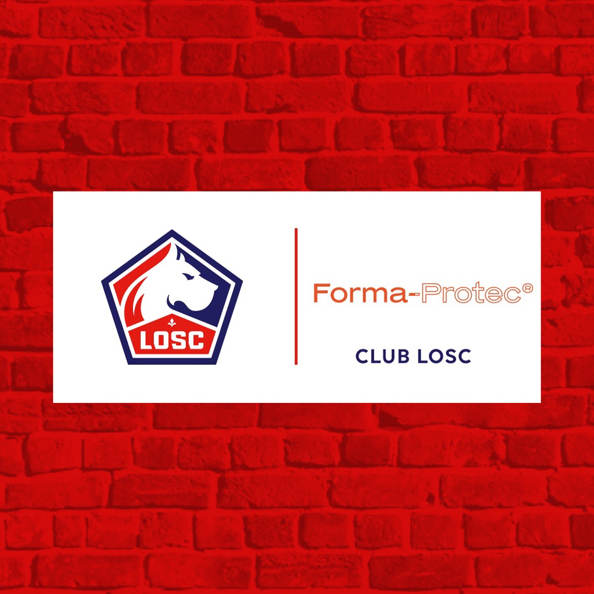Forma Protec est partenaire du LOSC